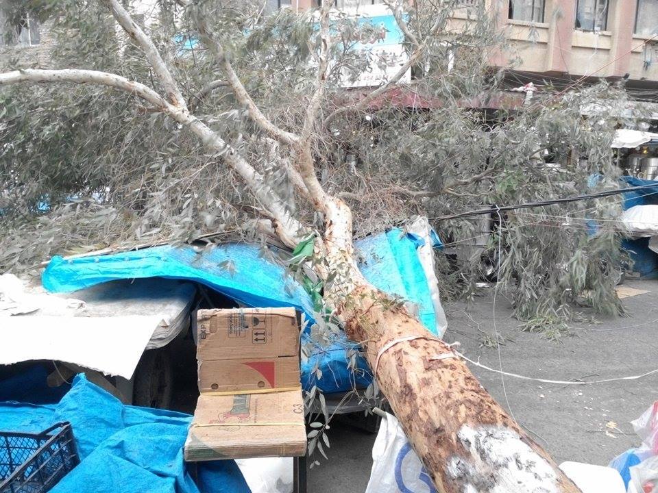 Reşebaya Duhî zîyanek mezin gehand hevwelatîyan.